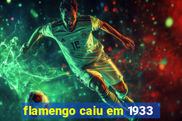 flamengo caiu em 1933